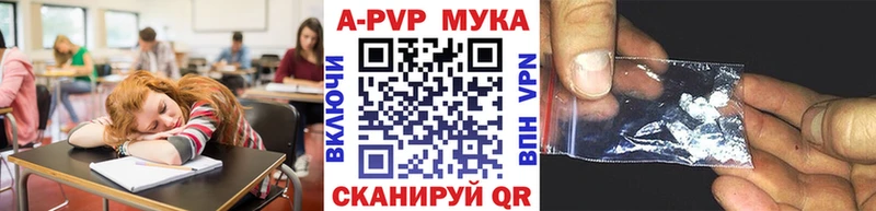 OMG рабочий сайт  Кизел  Альфа ПВП СК 