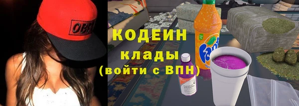 индика Нефтекумск