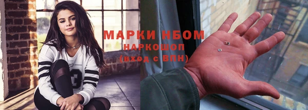 индика Нефтекумск