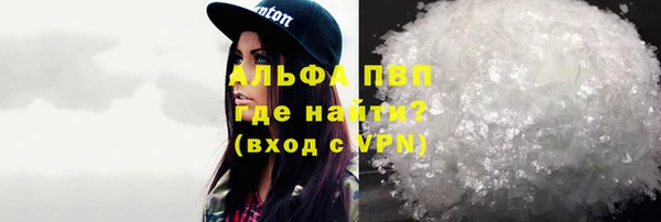 индика Нефтекумск