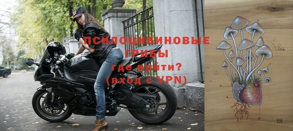 марки lsd Новозыбков