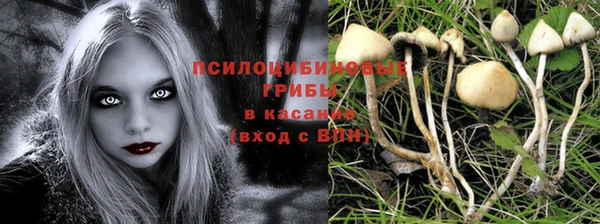 марки nbome Нефтегорск