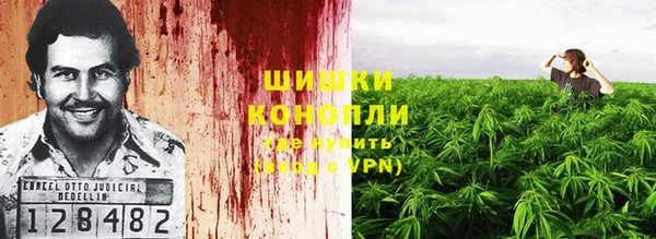 экстази Михайлов