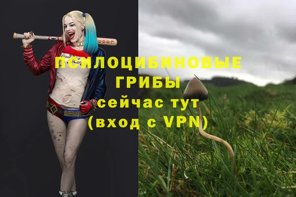 индика Нефтекумск