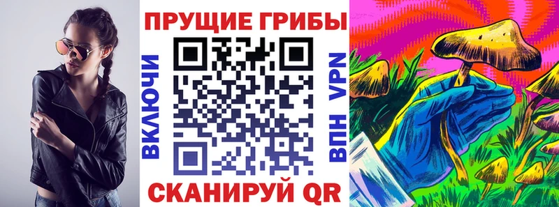 Псилоцибиновые грибы GOLDEN TEACHER наркота Кизел