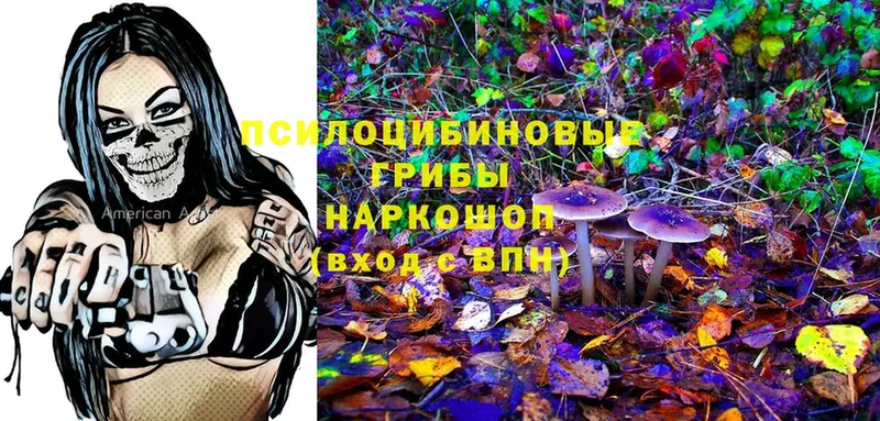 Галлюциногенные грибы Psilocybe  Кизел 