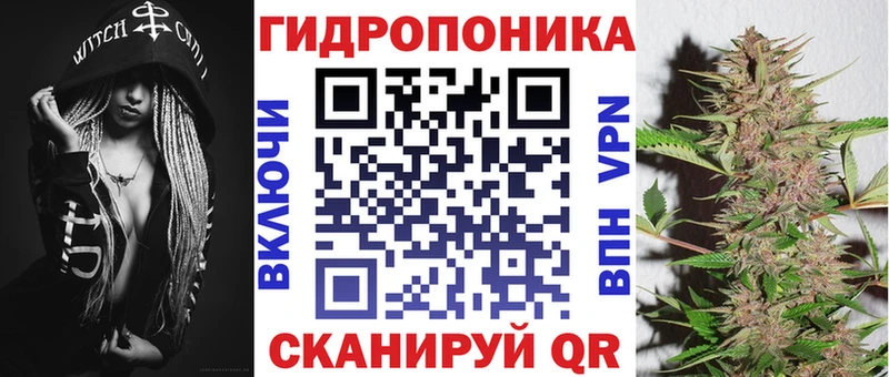 сколько стоит  Кизел  Каннабис индика 